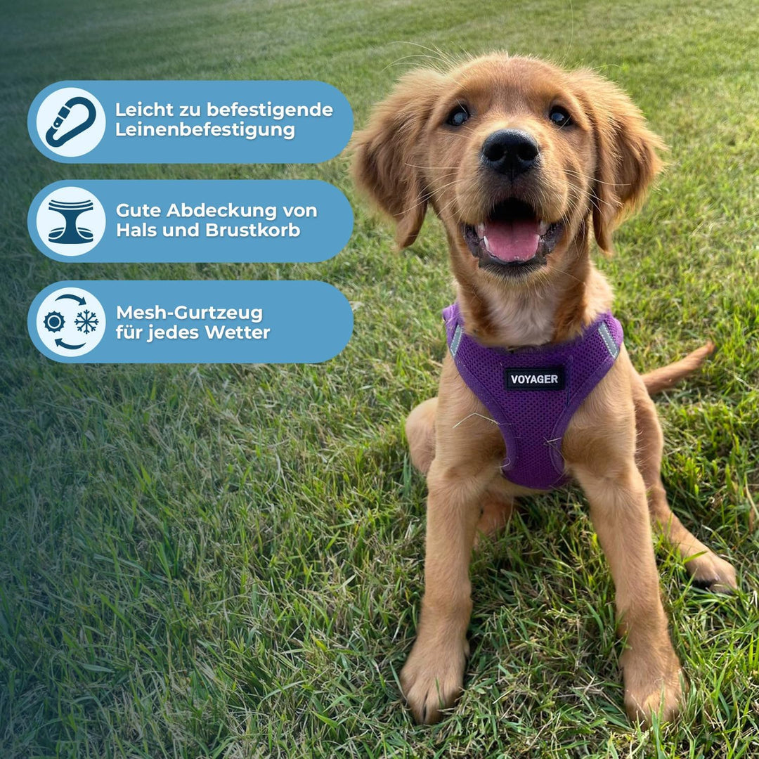 Voyager Step-In Air Hundegeschirr by Best Pet Supplies - All Weather Mesh Step in Vest Harness für k