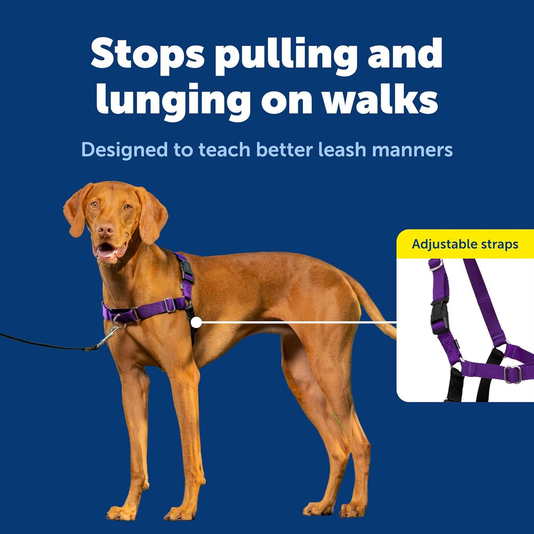 PetSafe Easy Walk Hundegeschirr. Deep Purple/Black Medium, Deep Purple/Black Medium