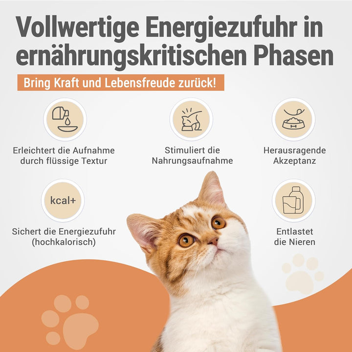 RECOACTIV Recovery Renal für Katzen, 3 x 90 ml, hochkalorisches Diät-Alleinfuttermittel bei Nierenfu