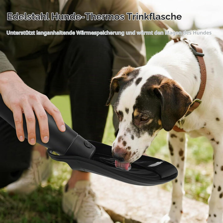 Hundetrinkflasche für Unterwegs - 750ml Trinkflasche Hunde, Auslaufsicher &amp; Robust aus Edelstahl, Va