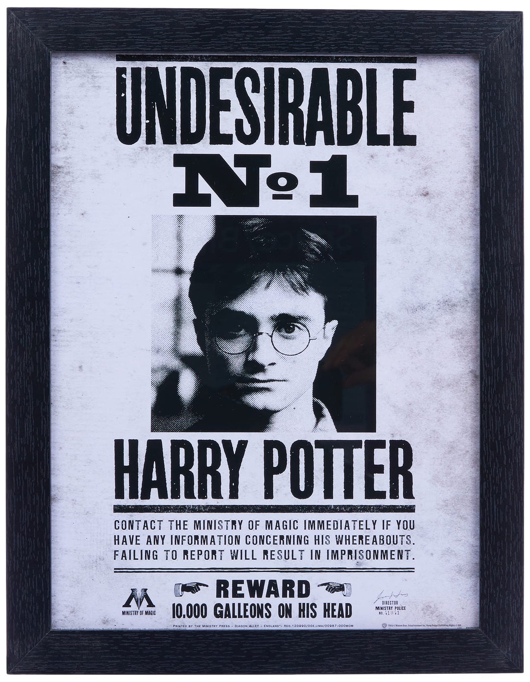 Pyramid International Harry Potter (Undesirable No1) 30x40 cm gerahmter Druck, 250GSM PAPERWRAP MDF,