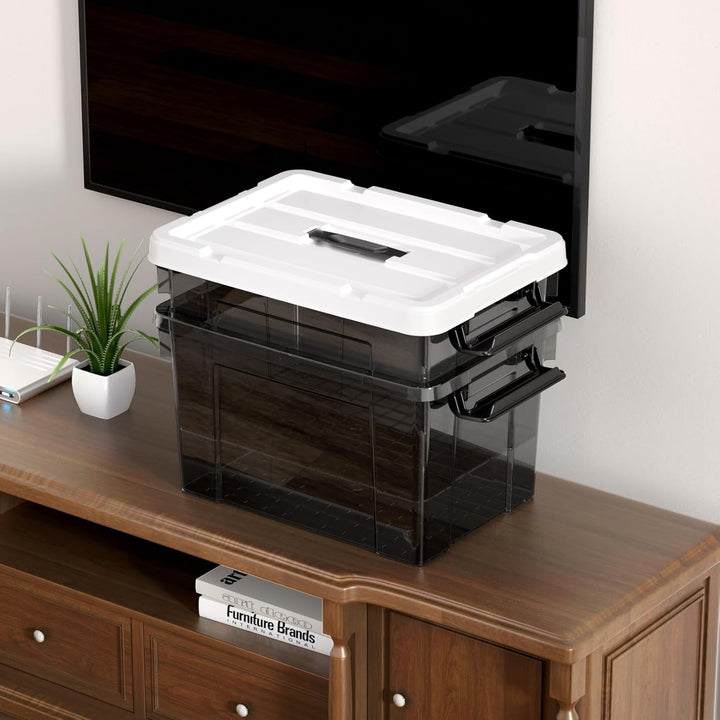 Cetomo 20L*4 Plastic Storage box, Tote box,Organizing Container with Durable Lid and Secure Latching