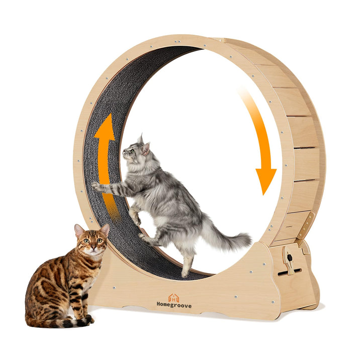 Homegroove XXXL Katzenlaufrad, 59 "/150cm Extra grosse Katze Übungsrad für Maine Coon &amp; grosse Katze