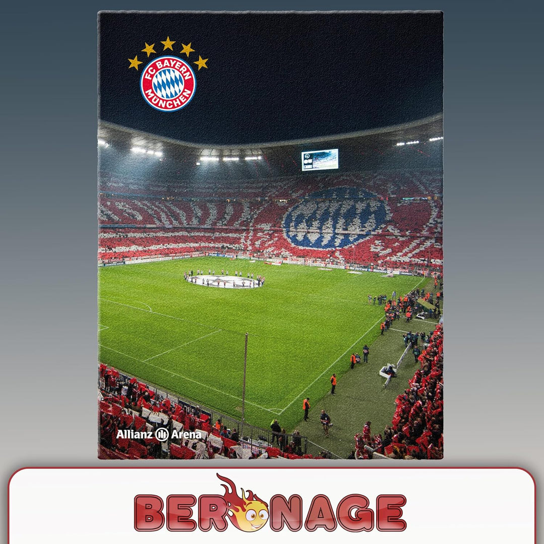 FC Bayern München Teppich Allianz Arena 100 x 130cm rutschhemmend lärmhemmend Fan-Teppich Kinder-Tep