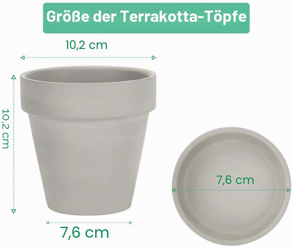 vensovo 10,2cm Grauer Tontopf für Pflanzen mit Untertasse - 6er Pack Kleiner Terrakotta-Pflanzentopf