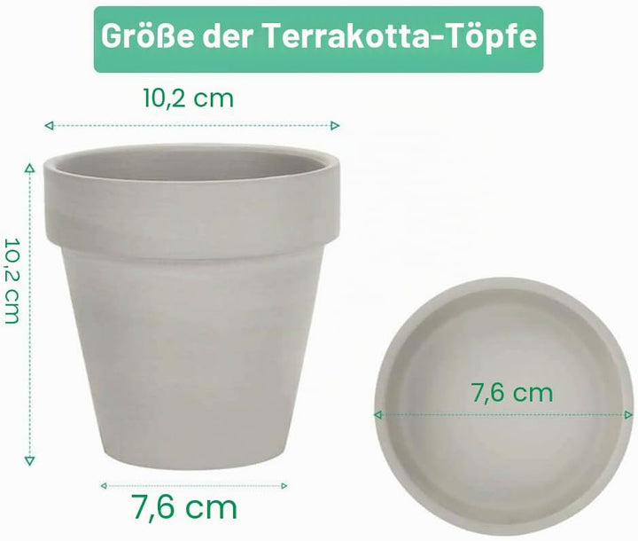 vensovo 10,2cm Grauer Tontopf für Pflanzen mit Untertasse - 6er Pack Kleiner Terrakotta-Pflanzentopf