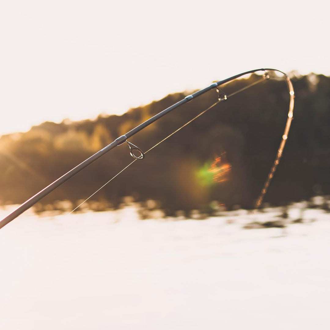 Abu Garcia Vendetta Baitcasting-Angelrute | Köderrute für Süsswasser-Raubfische | Schnell reagierend