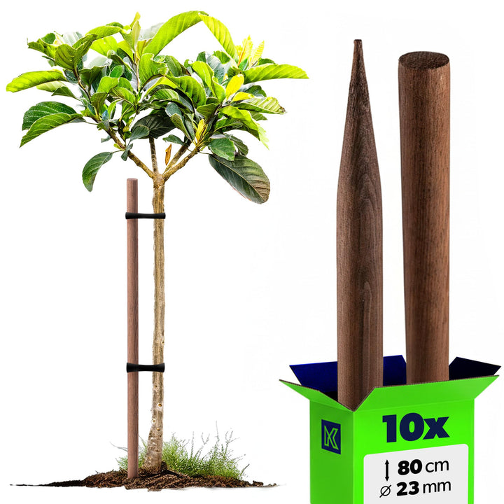 KADAX Holzstäbe 80 cm x 23 mm, 10er Set, Pflanzstäbe aus imprägniertem Holz, Holzpfähle als Rankhilf