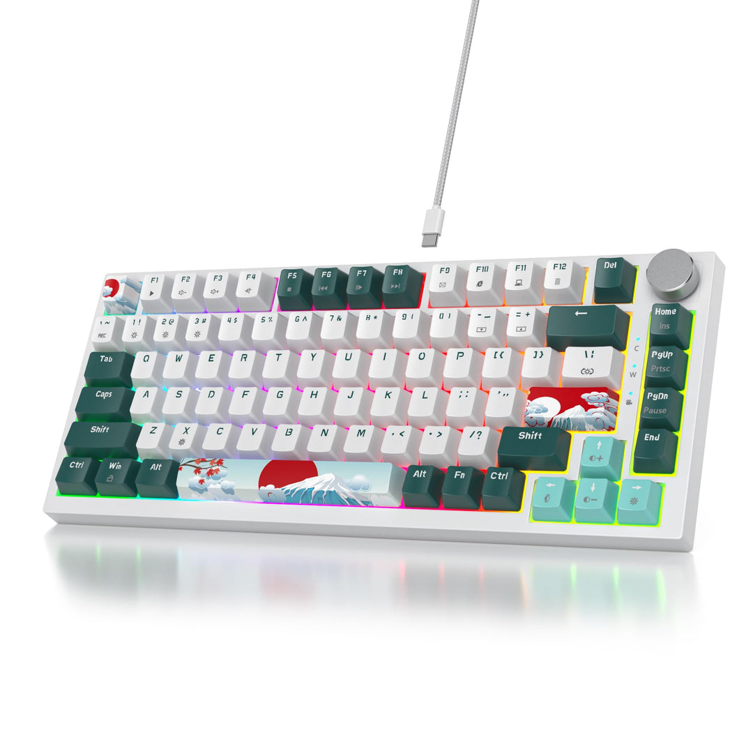 SOLIDEE Verkabelte Mechanische Gaming Tastatur 75%,hot-swap-fähige mechanische Tastatur Gasket Struk