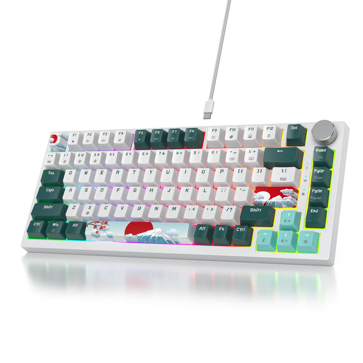 SOLIDEE Verkabelte Mechanische Gaming Tastatur 75%,hot-swap-fähige mechanische Tastatur Gasket Struk