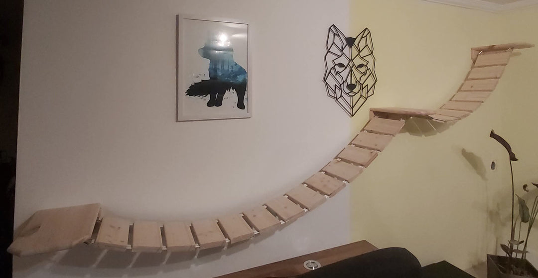 Wandpark für Main Coon, Catwalk, Kletterwand, Katzenwand, Trittstufen (75+100cm, Natur) 75+100cm Nat