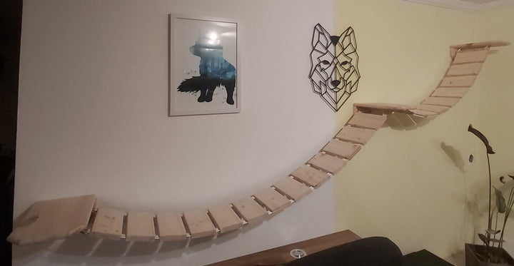 Wandpark für Main Coon, Catwalk, Kletterwand, Katzenwand, Trittstufen (75+100cm, Natur) 75+100cm Nat