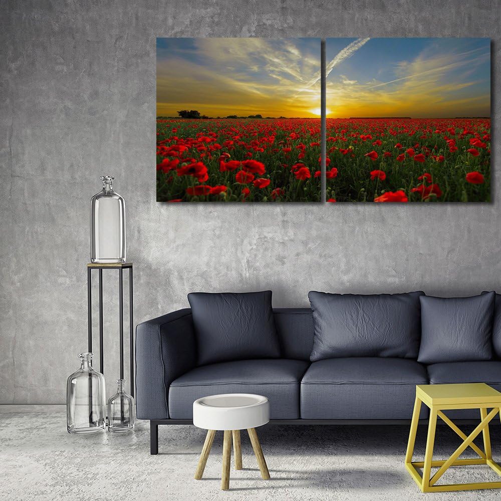 Feeby. Wandbilder - 2 Teile - 140x70 cm - quadratische Form Bilder Kunstdrucke Deko Panel MOHN, SONN