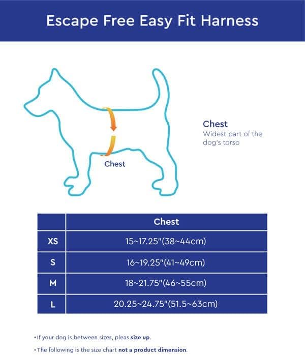 Gooby - Escape Free Easy Fit Hundegeschirr, kleines Hundegeschirr für Hunde, die ihrem Geschirr gern