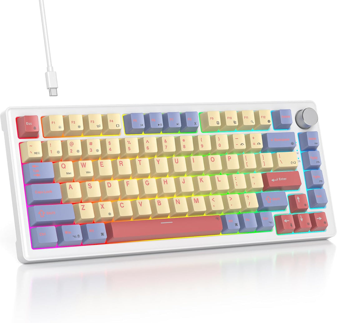 SOLIDEE Verkabelte Mechanische Gaming Tastatur 75 Prozent,hot-swap-fähige Mechanische Tastatur mit G