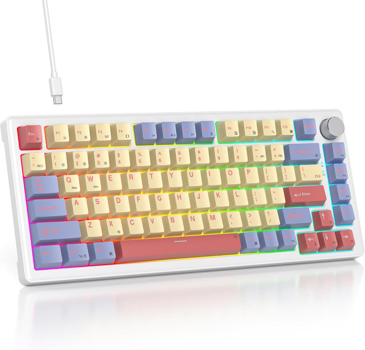 SOLIDEE Verkabelte Mechanische Gaming Tastatur 75 Prozent,hot-swap-fähige Mechanische Tastatur mit G