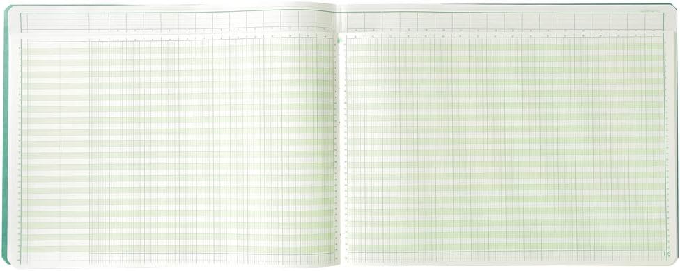 EXACOMPTA 18310E Spaltenbuch, 32 Spalten auf 2 Seiten,35ZeilenVE1