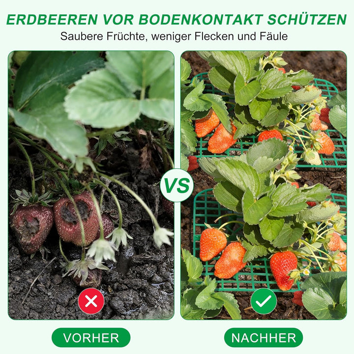 Erdbeer Pflanzenstützen, 10er Set Quadratisch, Erdbeerständer hält Erdbeer vom Boden fern, Wiederver