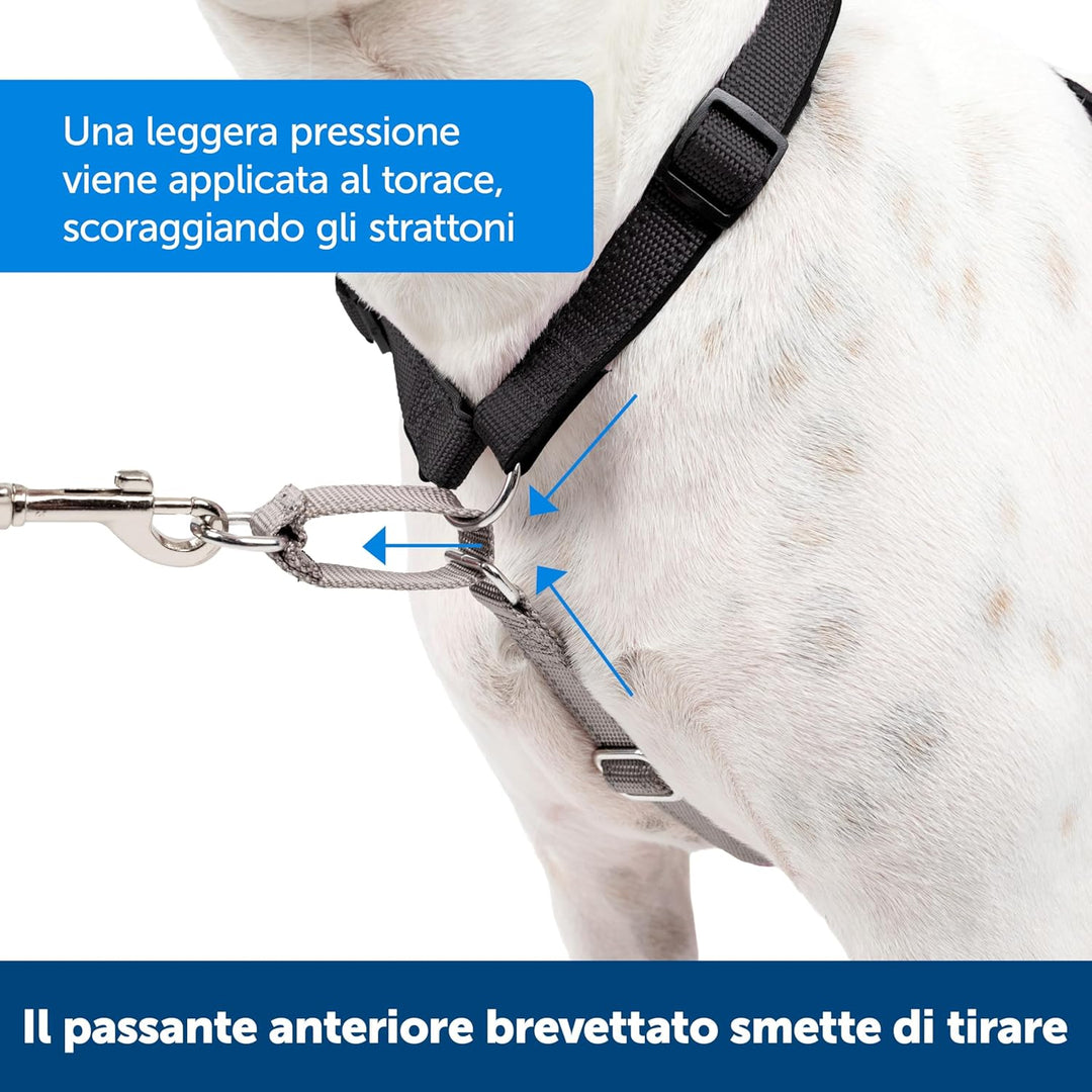 PetSafe 3-in-1-Geschirr und Rückhaltegurt für Hunde, Mit Anti-Zieh-Ring und Rückhaltegurt fürs Auto,