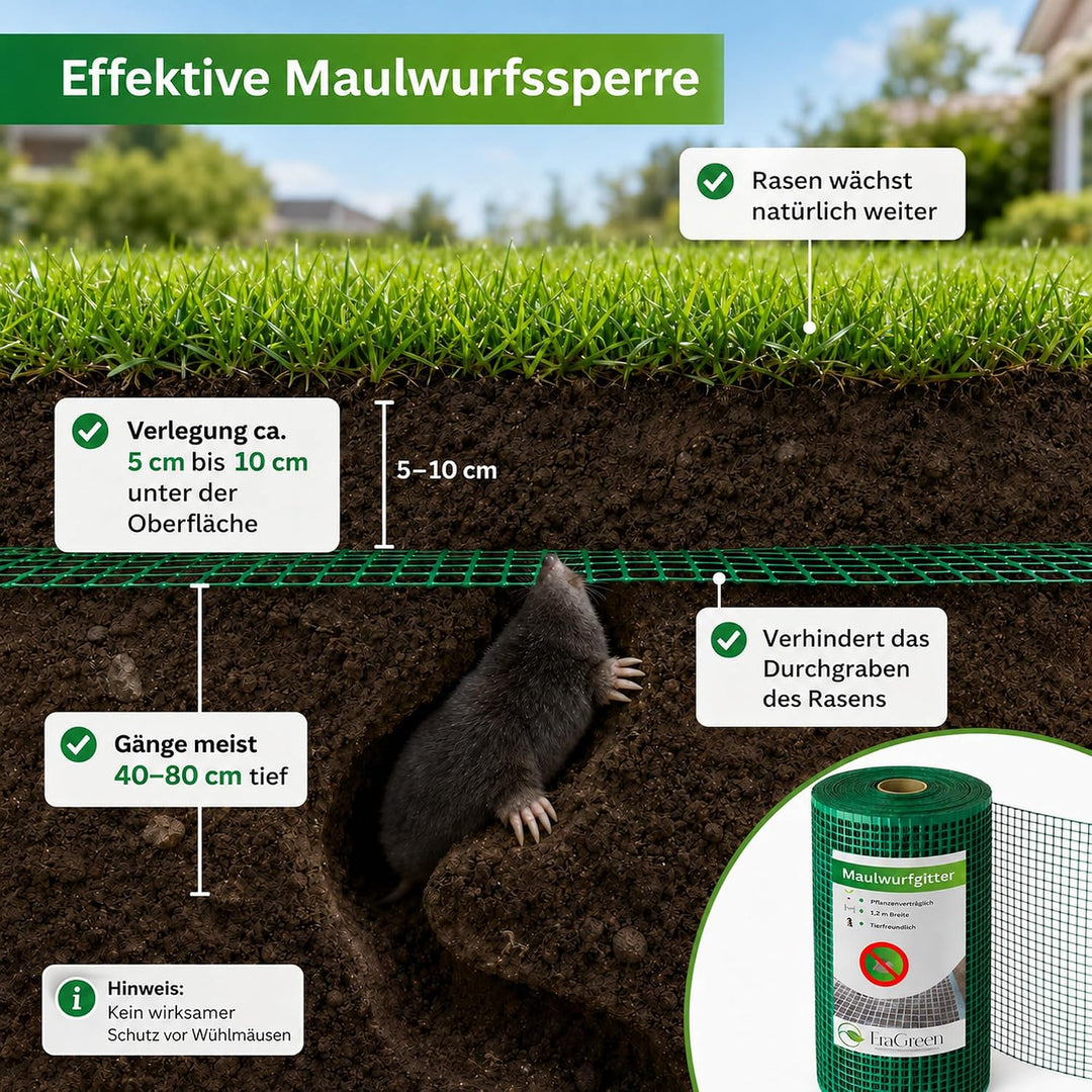 EraGreen® Maulwurfgitter 80 m x 1,2 m Breite Inklusive 80 Erdanker GRATIS - Maulwurfschutz für Rollr