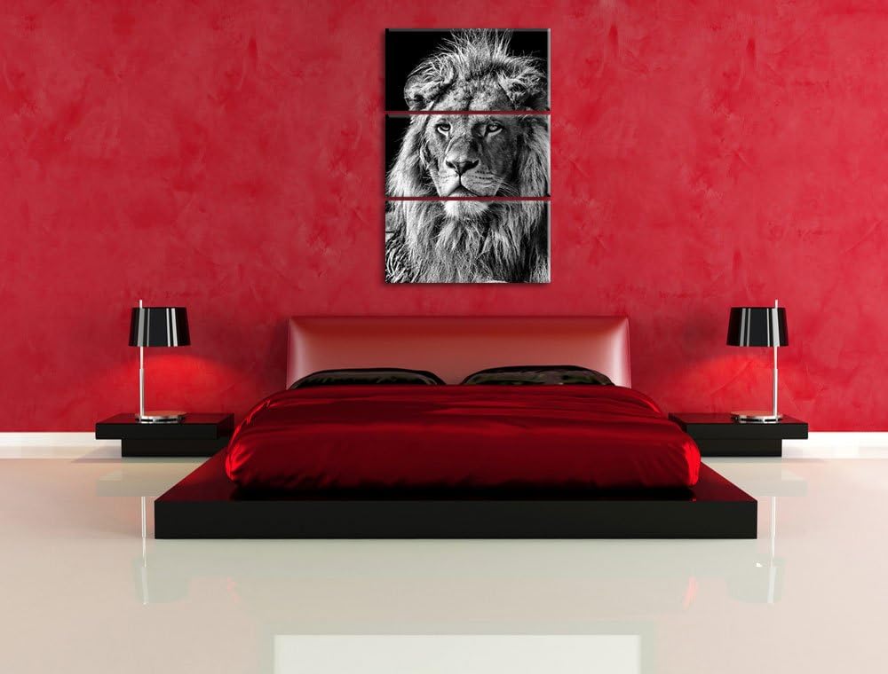 Pixxprint beeindruckender Löwe als Leinwandbild/Grösse: 3 Teilig (120x80) cm/Wandbild/Kunstdruck/fer