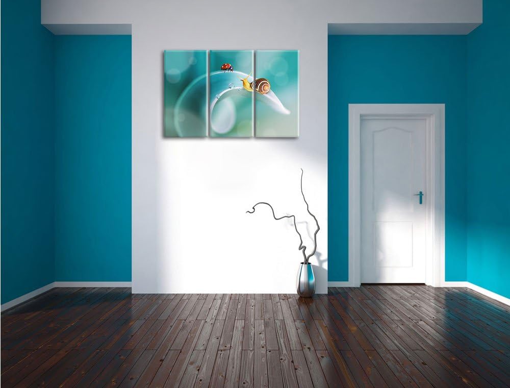 Pixxprint eine Schnecke und Marienkäfer / 3-Teilig/Gesamtmass 120cm Leinwandbild bespannt auf Holzra