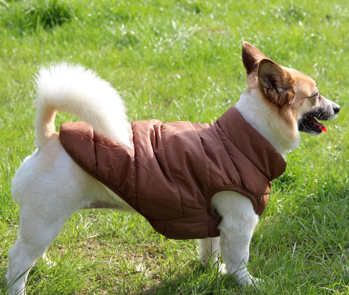 JoyDaog 2-lagige mit Fleece gefütterte Hundejacke, sehr warm für Winter und kaltes Wetter, extraweic