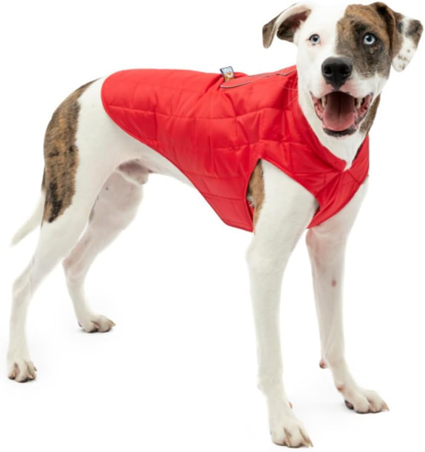 Kurgo Loft Hundejacke, Mit Hundegeschirr kombinierbar, Wasserdicht und reflektierend, Ideal für den