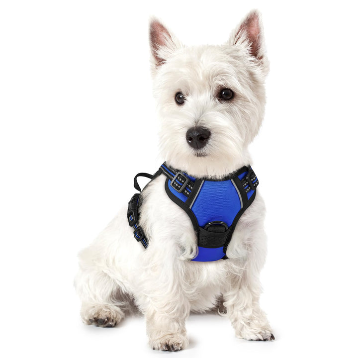 rabbitgoo Hundegeschirr Kleine Hunde, Anti Zug Geschirr mit Kontrolle, No Pull Verstellbar Hundegesc