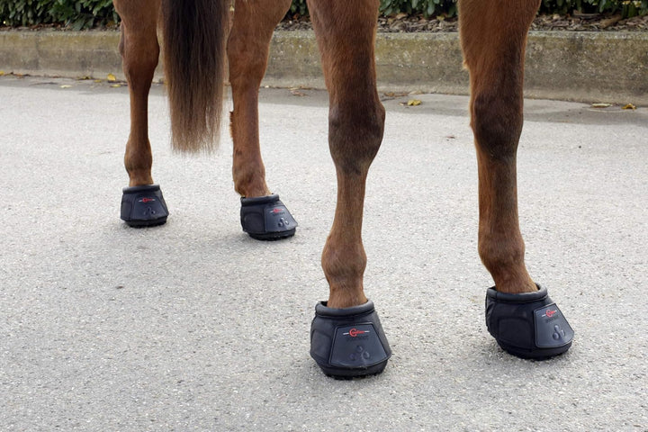 Covalliero 3222171 Hufschuh Gr. 3, 3