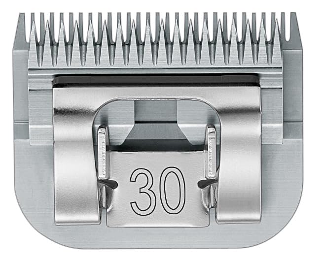 EHASO AESCULAP Scherkopf GT 317/0,5 mm, Size 30