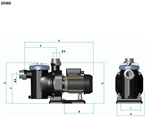 LordsWorld - Astralpool - 25465 Sena Pump 1,00Hp Einphasige Selbstansaugend - Pool-Wasser-Filter-Pum