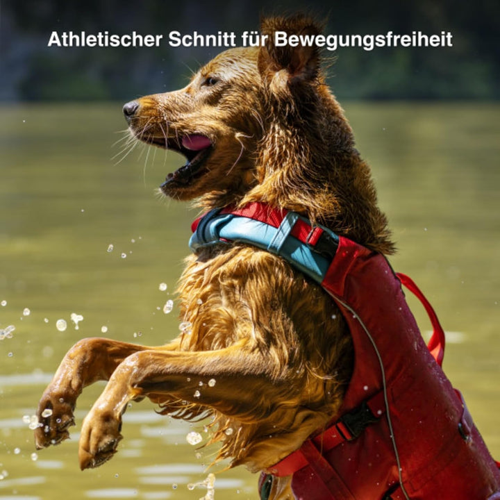 Kurgo Surf N Turf Hundeschwimmweste, Reissfestes Material, Mit Reflektoren und 2 Griffen ausgestatte