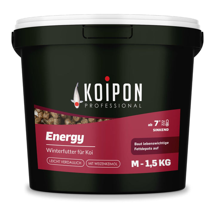 KOIPON Energy Winterfutter 1,5 kg 6 mm, sinkend, für Koi &amp; Goldfische | Energiereiches Winterfutter,