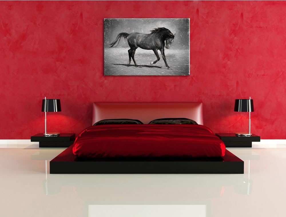 Edler schwarzer Hengst schwarz weiss Deluxe Format: 100x70 cm auf Leinwand, XXL riesige Bilder ferti