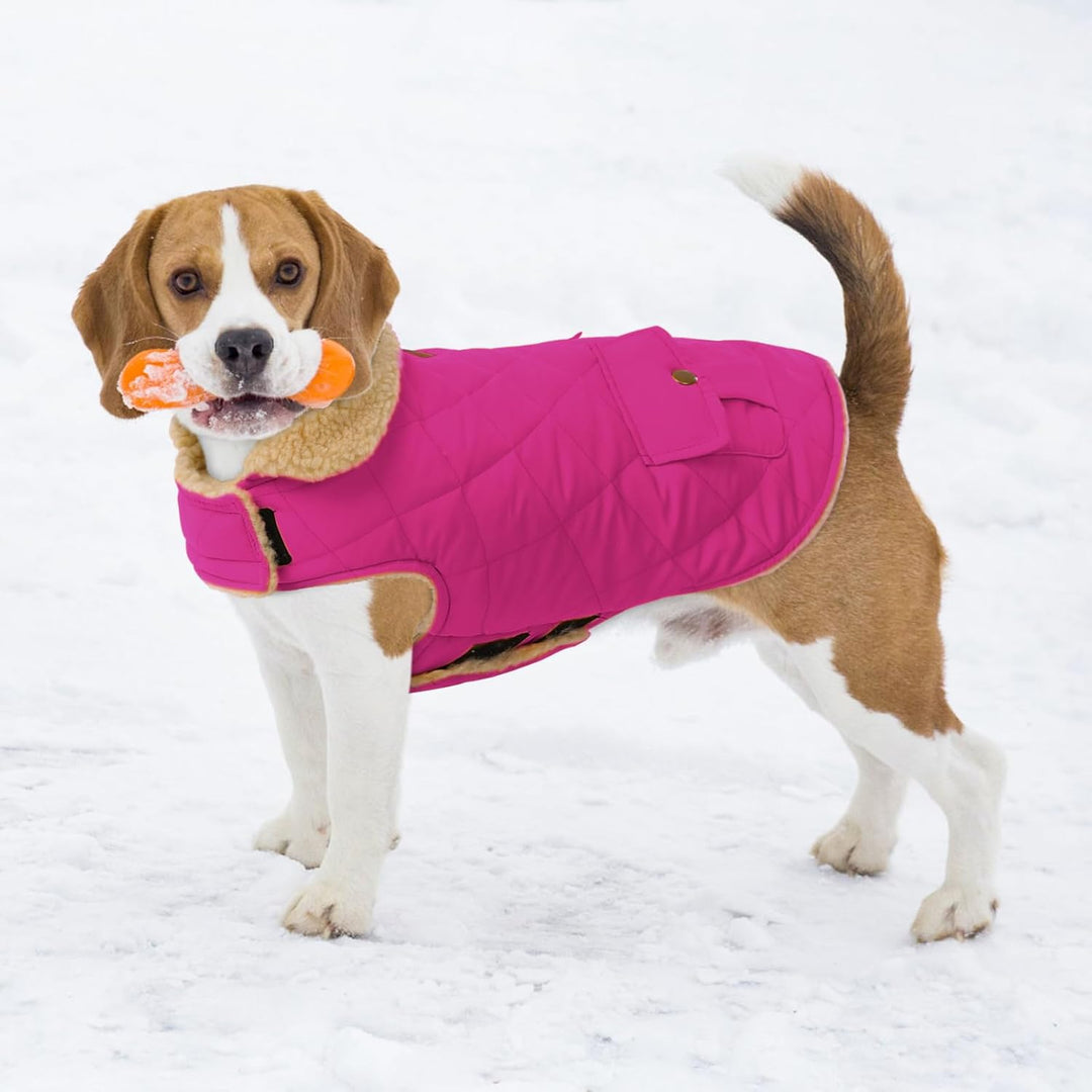 CITÉTOILE Wintermantel Hundemantel, Warme Winterjacken mit Fleece für Hunde,Hundejacke Hundekleidung