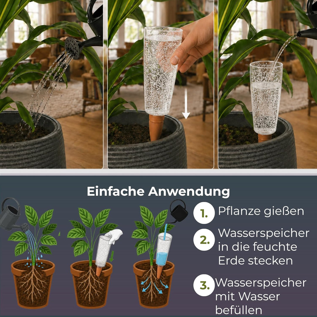 Scheurich Wasserspender Copa XL | 3X Transparent | 500 ml Füllmenge | Bewässerungskugel klein mit To