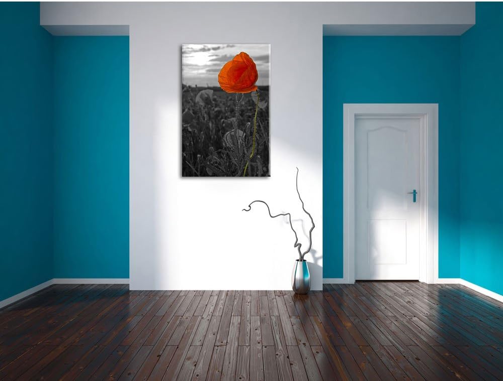Mohnfeld B&W Detail, Format: 100x70 auf Leinwand, XXL riesige Bilder fertig gerahmt mit Keilrahmen,