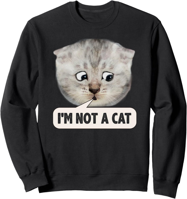 I Am Not A Cat Lawyer Cat Funny Meme Online Hearing Call Sweatshirt