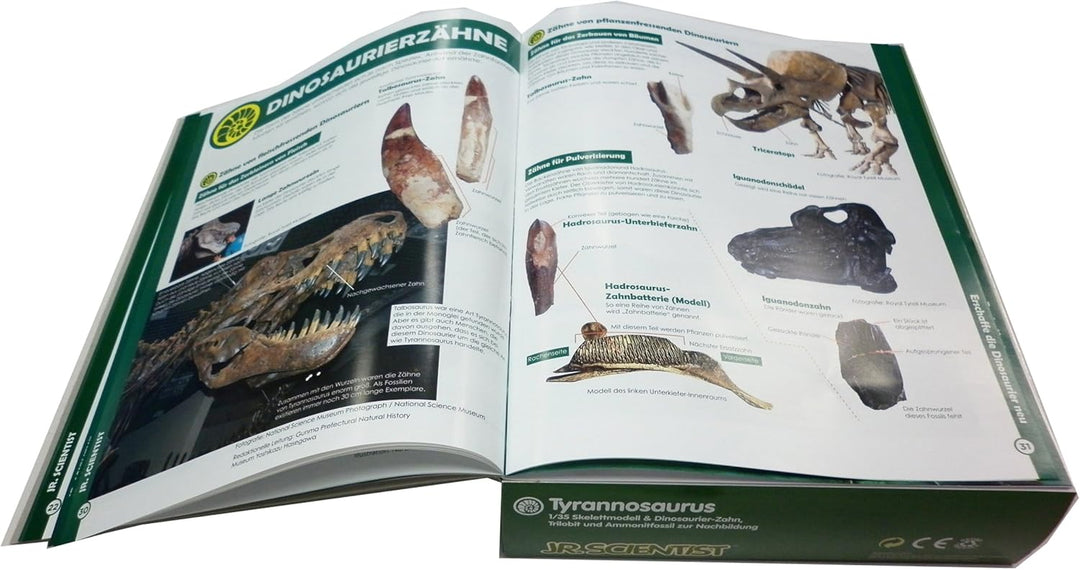EDU-TOYS Experimentier-Set Tyrannosaurus GK008 ab 8 Jahre