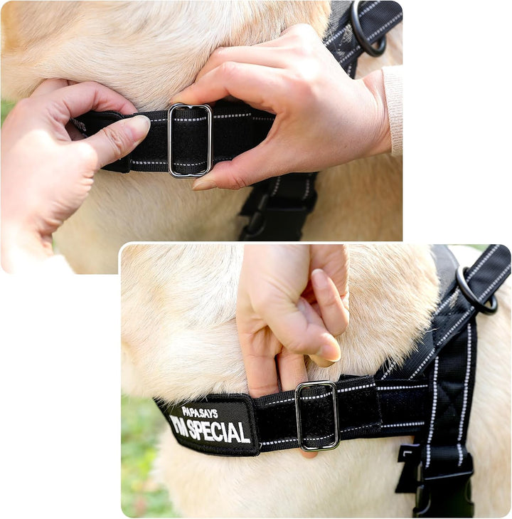 Hundegeschirr Verstellbar für Kleine Mittlere Grosse Hunde, Reflektierend Ausbruchsicher Ohne Zug, H