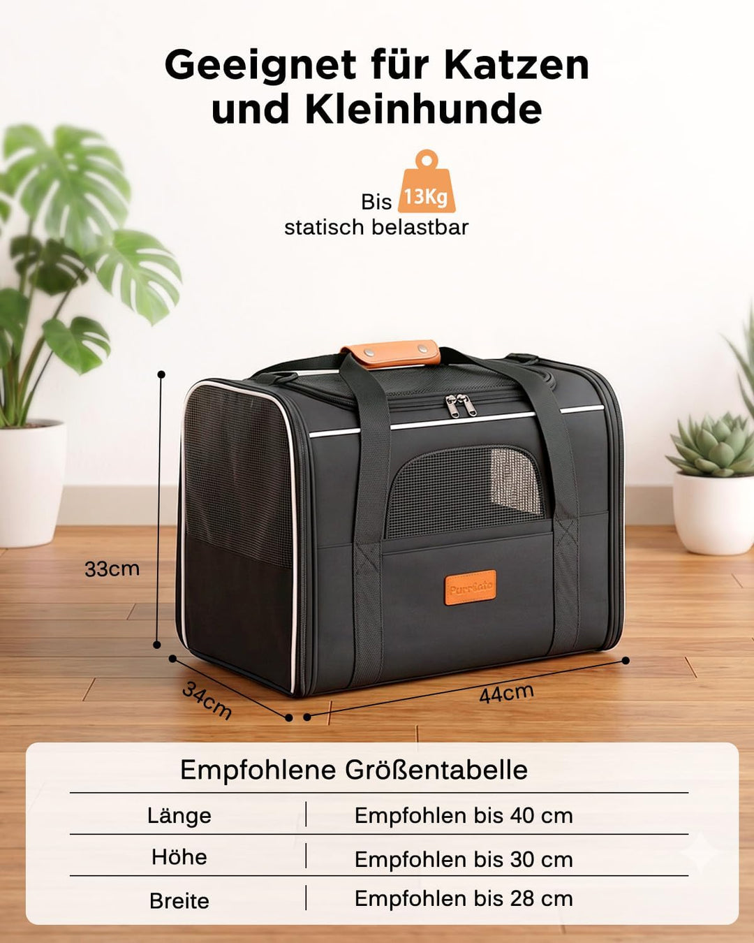 Katzentransporttasche faltbar bis 10 kg – Stabile Transportbox für Katzen &amp; kleine Hunde mit Stahlra