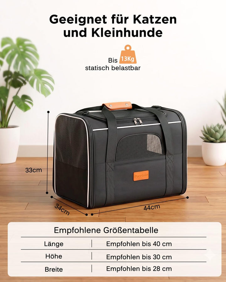 Katzentransporttasche faltbar bis 10 kg – Stabile Transportbox für Katzen &amp; kleine Hunde mit Stahlra