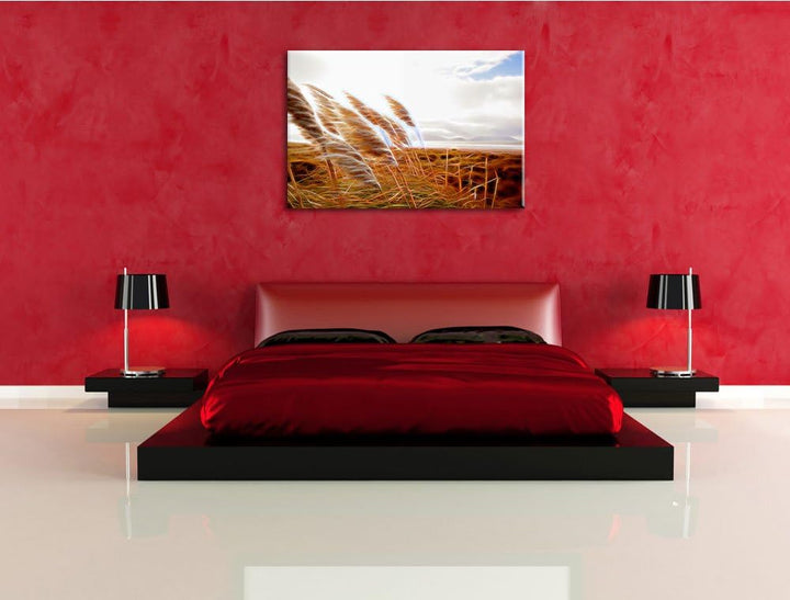 Schönes Schilf in den Dünen Deluxe Format: 100x70 cm auf Leinwand, XXL riesige Bilder fertig gerahmt