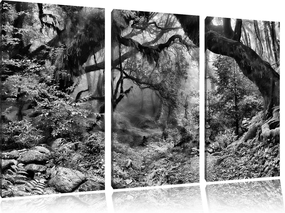 Pixxprint Mystischer Regenwald als Leinwandbild | Grösse: 3 Teilig (120x80) | Wandbild| Kunstdruck |