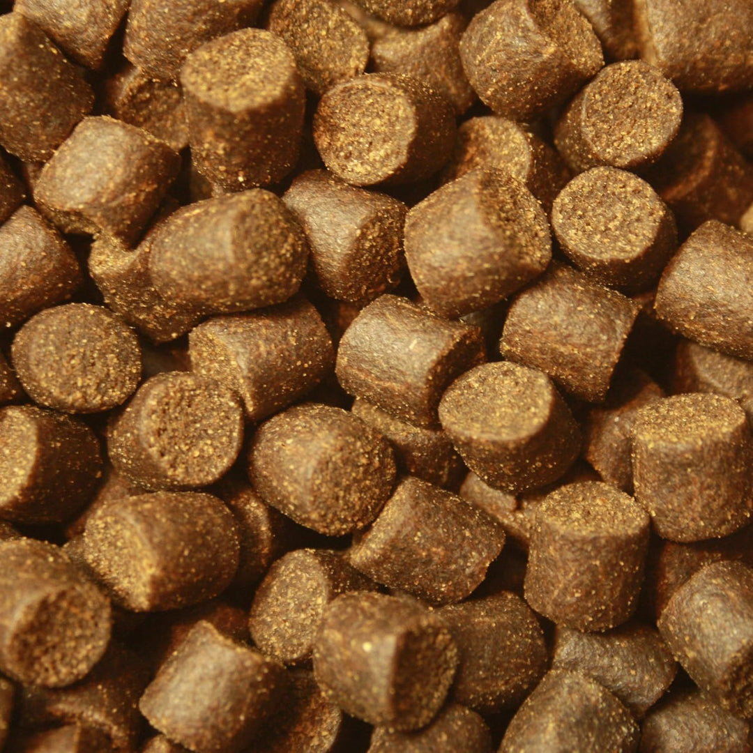 Störfutter extragross 10mm Energiefutter für Störe, Störsinkfutter deutsche Top Qualität, Tomodachi