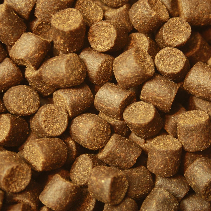 Störfutter extragross 10mm Energiefutter für Störe, Störsinkfutter deutsche Top Qualität, Tomodachi