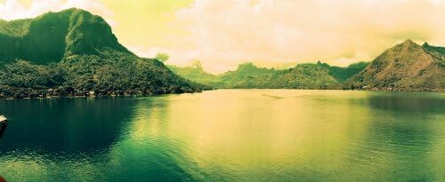 Lomochrome purple XR 100-400 / 120er Rollfilm