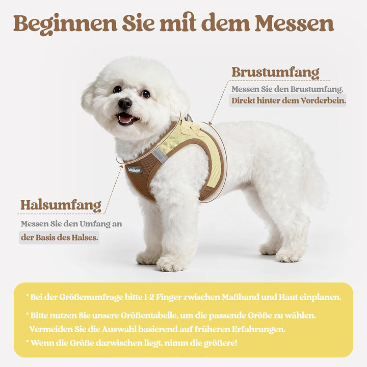rabbitgoo Hundegeschirr Kleine Hunde mit Leine, Step-in Welpengeschirr Weich Mesh für Spaziergänge,