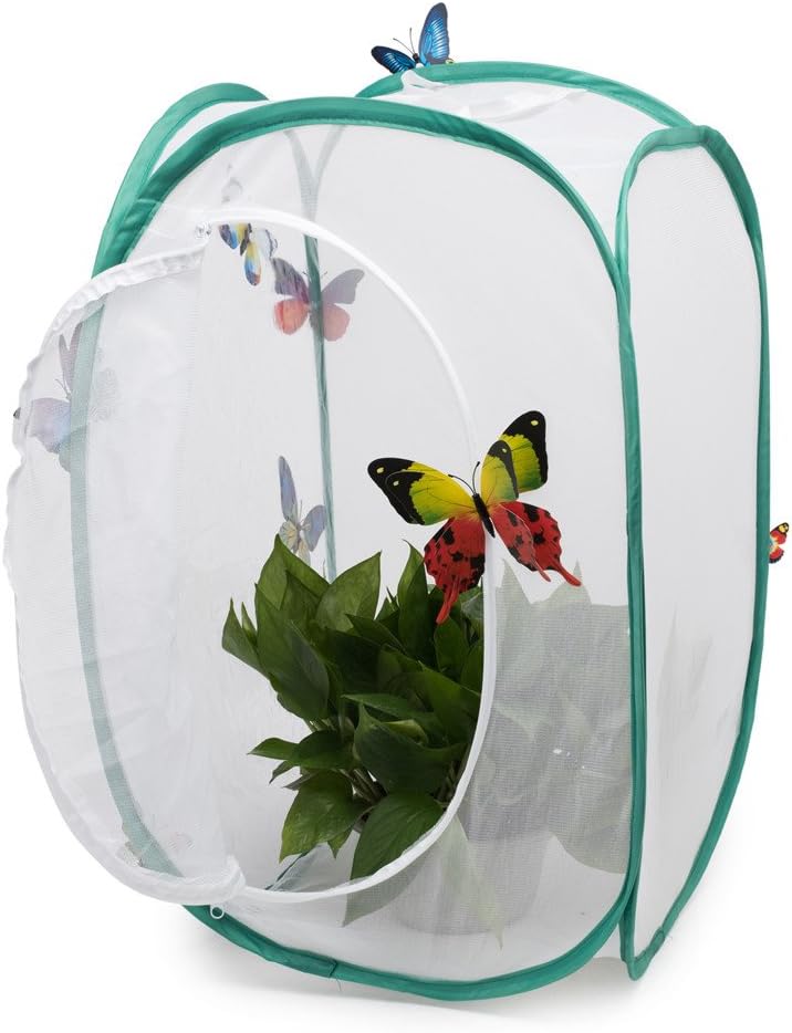 Hyindoor Insekt Und Schmetterling Habitat Käfig Terrarium Schutz Käfig Grün